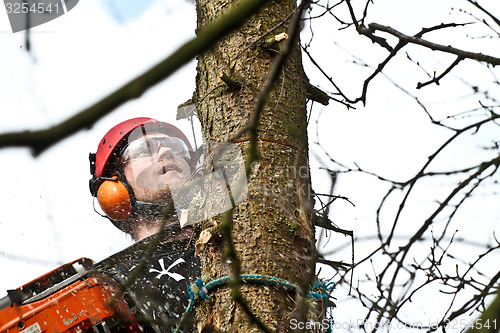Image of Woodcutter closeup in action in denmark 