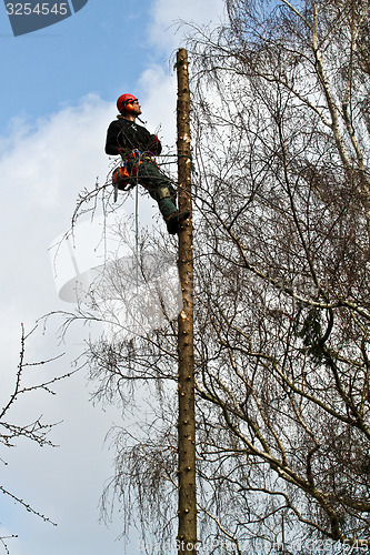 Image of Woodcutter closeup in action in denmark 