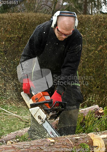 Image of Woodcutter with chainsaw in action in denmark 