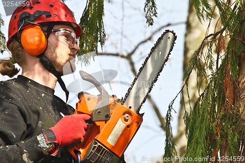 Image of Woodcutter closeup in action in denmark 