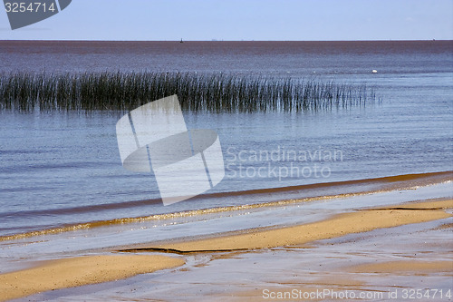 Image of beach and grass in rio de la plata