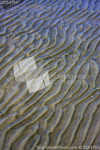 Image of shore texture and curved line 
