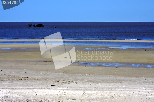 Image of beach and wood  in colonia del sacramento