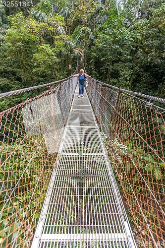 Image of Suspension bridge in tropical rain forest of Costa Rica