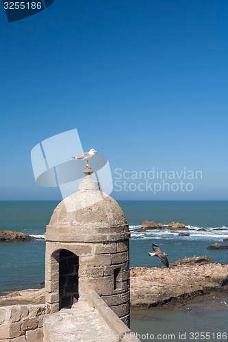 Image of old fortress in Essaouira, Morocco