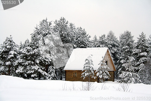 Image of house in wood