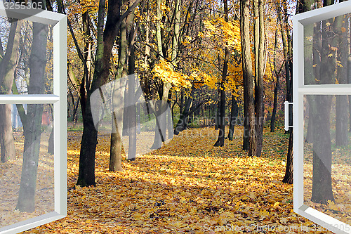 Image of opened window to autumn park