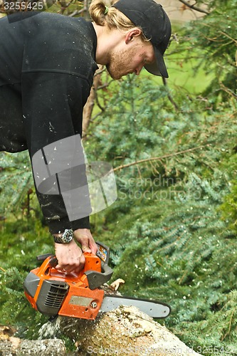 Image of Woodcutter with chainsaw in action in denmark 