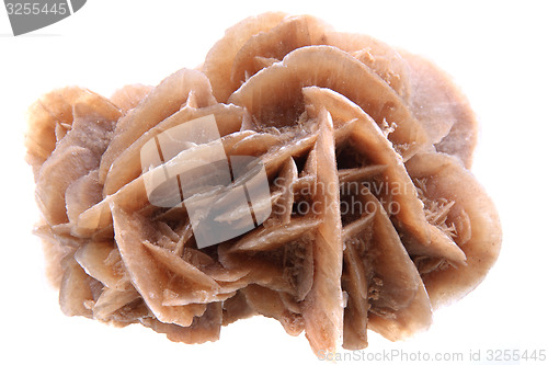 Image of desert rose mineral isolated