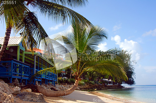 Image of Westcoast Barbados