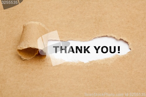 Image of Thank You Torn Paper