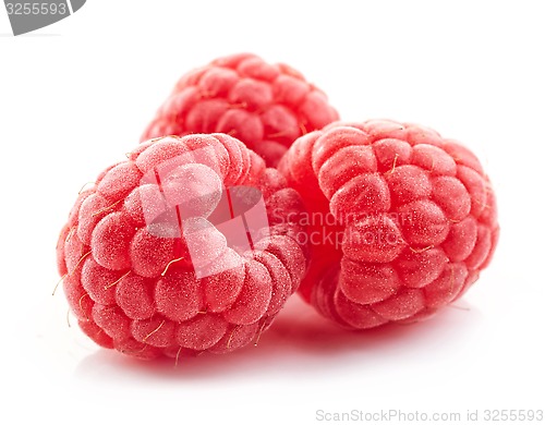 Image of fresh organic raspberries