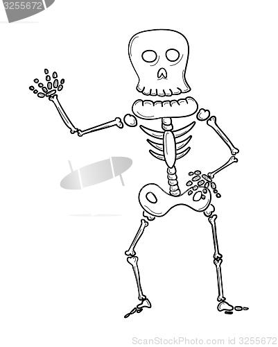 Image of sketch of the skeleton