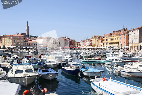 Image of Marina in Rovinj