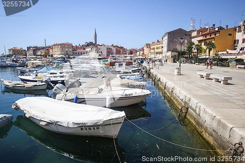 Image of Marina and promenade in Rovinj