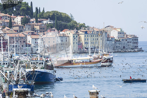 Image of Old town and harbour in Rovinj