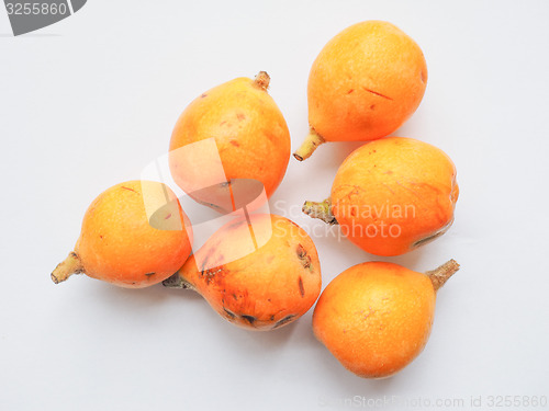 Image of Loquat fruit