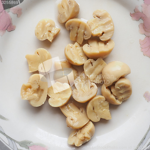 Image of Champignon mushroom dish