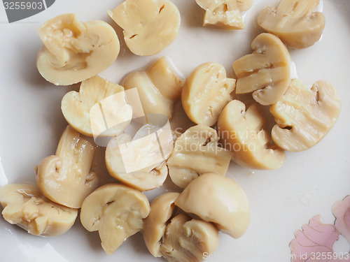 Image of Champignon mushroom dish