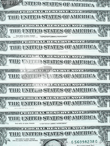 Image of Dollar notes 1 Dollar