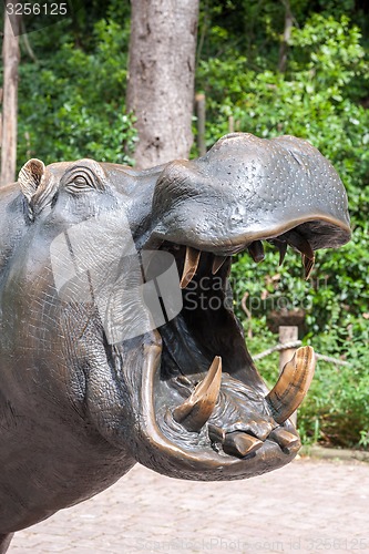 Image of Hippopotamus showing huge jaw and teeth