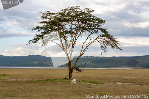 Image of landscape Kenya
