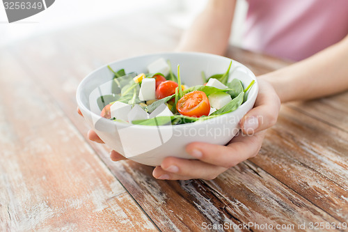 Image of close up of young woman hands showing salad bowl