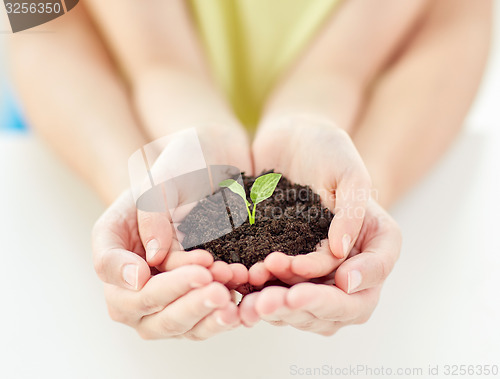 Image of close up of child and parent hands holding sprout