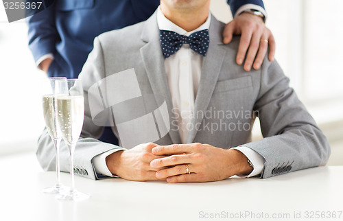 Image of close up of male gay couple with champagne glasses