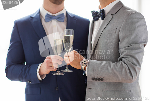 Image of close up of male gay couple with champagne glasses