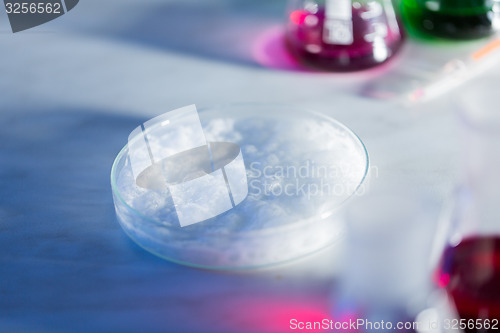 Image of close up of petri dish with chemical in lab