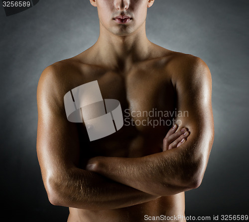 Image of young male bodybuilder