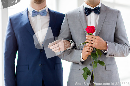 Image of close up of happy male gay couple holding hands
