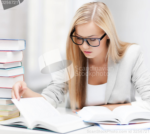 Image of student with books and notes