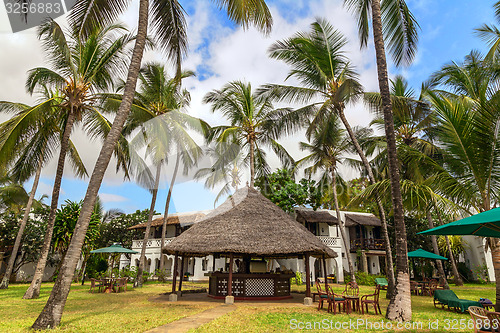 Image of Empty sunbeds on the green grass among palm trees