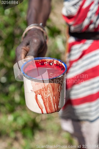 Image of Masai Mara, Kenya, Africa - February 12, 2010  shaman with a cup of cow blood in traditional clothes