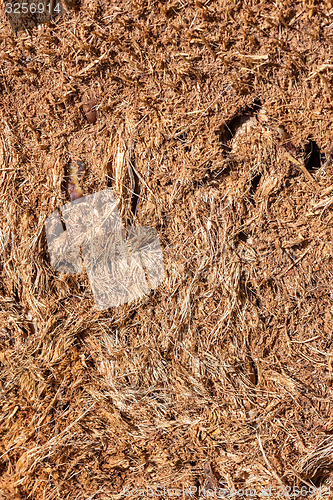 Image of natural tree bark