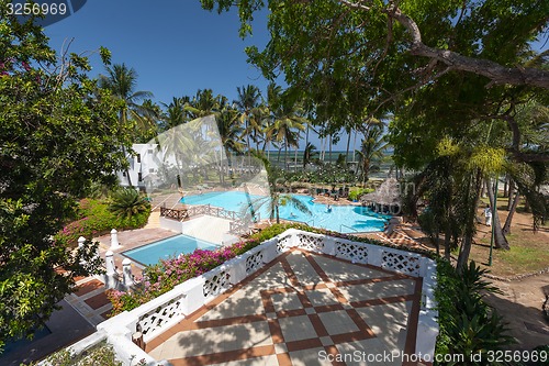 Image of Swimming pool, palm trees, pink flowers and blue sky