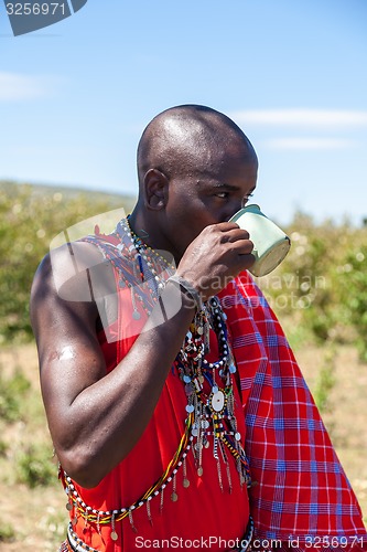 Image of MASAI MARA,KENYA, AFRICA- FEB 12 Masai shaman is drinking a cup of cow blood in traditional clothes, review of daily life of local people,near to Masai Mara National Park Reserve, Feb 12, 2010,Kenya