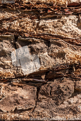 Image of natural tree bark