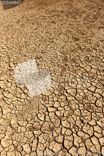 Image of cracked earth