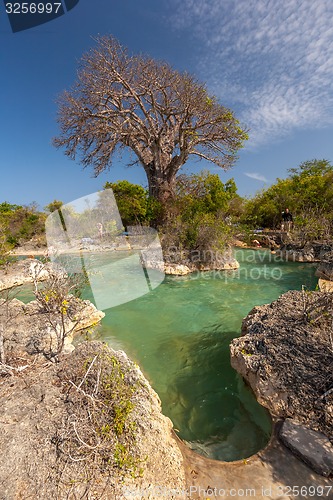 Image of Swimming pool,  trees and blue sky