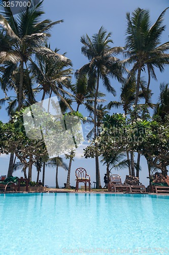 Image of Swimming pool, palm trees and blue sky