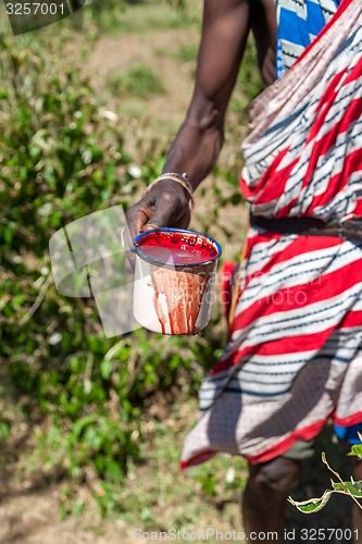 Image of Masai Mara, Kenya, Africa - February 12, 2010  shaman with a cup of cow blood in traditional clothes