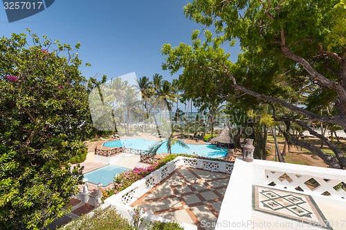 Image of Swimming pool, palm trees, pink flowers and blue sky