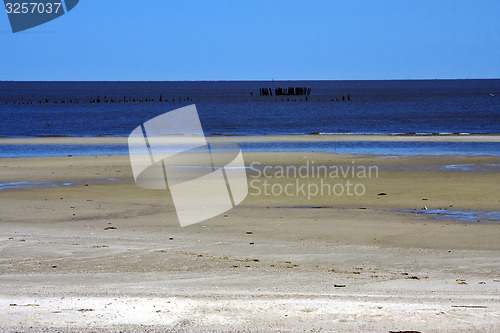 Image of beach and wood in water