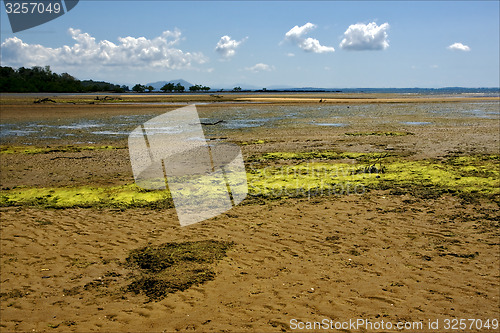 Image of  cloudy seaweed in madagascar 