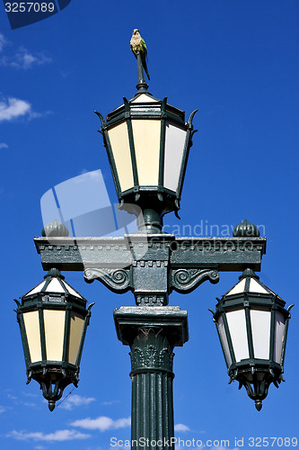 Image of old green street lamp and parrot 