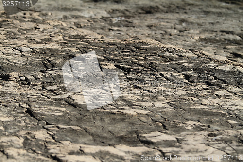 Image of Dry land