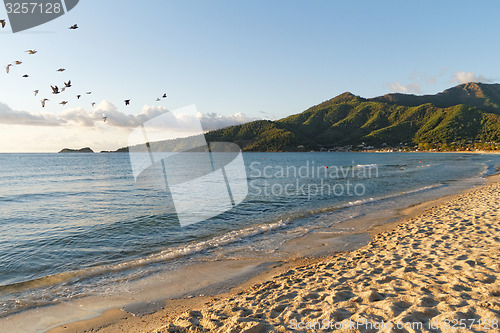 Image of The sea